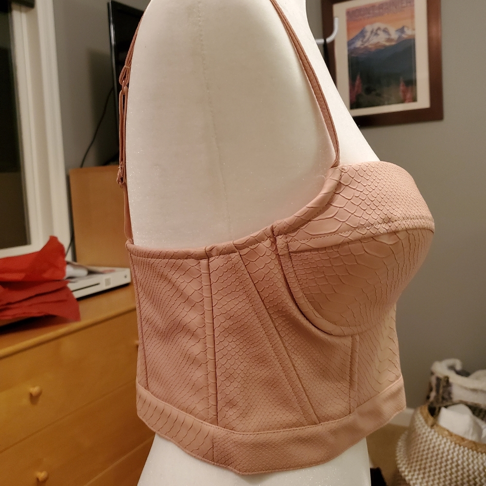 Sexy Charlotte Russe Pink Croptop Bustier Sz M - Picture 7 of 10